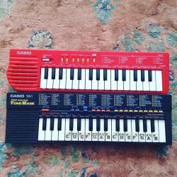 Outaspaceman:  I Now Have A Casio Sa-1 100 Sound Tone Bank To Add To My Expanding