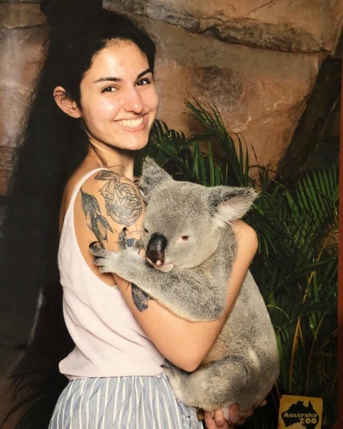 marsupials: betcha can’t have just one #australiazoo (at Australia Zoo) www.instagram.