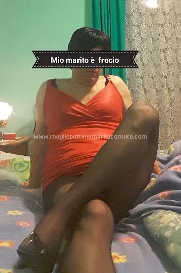 IL FROCIO TRAVESTITO DI MIO MARITO