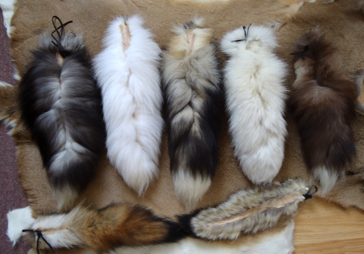 coyotequeen:  I took some of my lambskin and decided to back my silver fox tail with