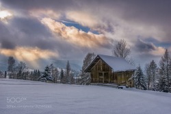 kohalmitamas:Winterbeginn by hubertbichler