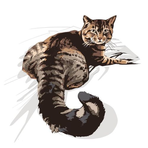 More practice to get up the nerve for commissions. #petportrait #catportrait #tabbycat https://www.i