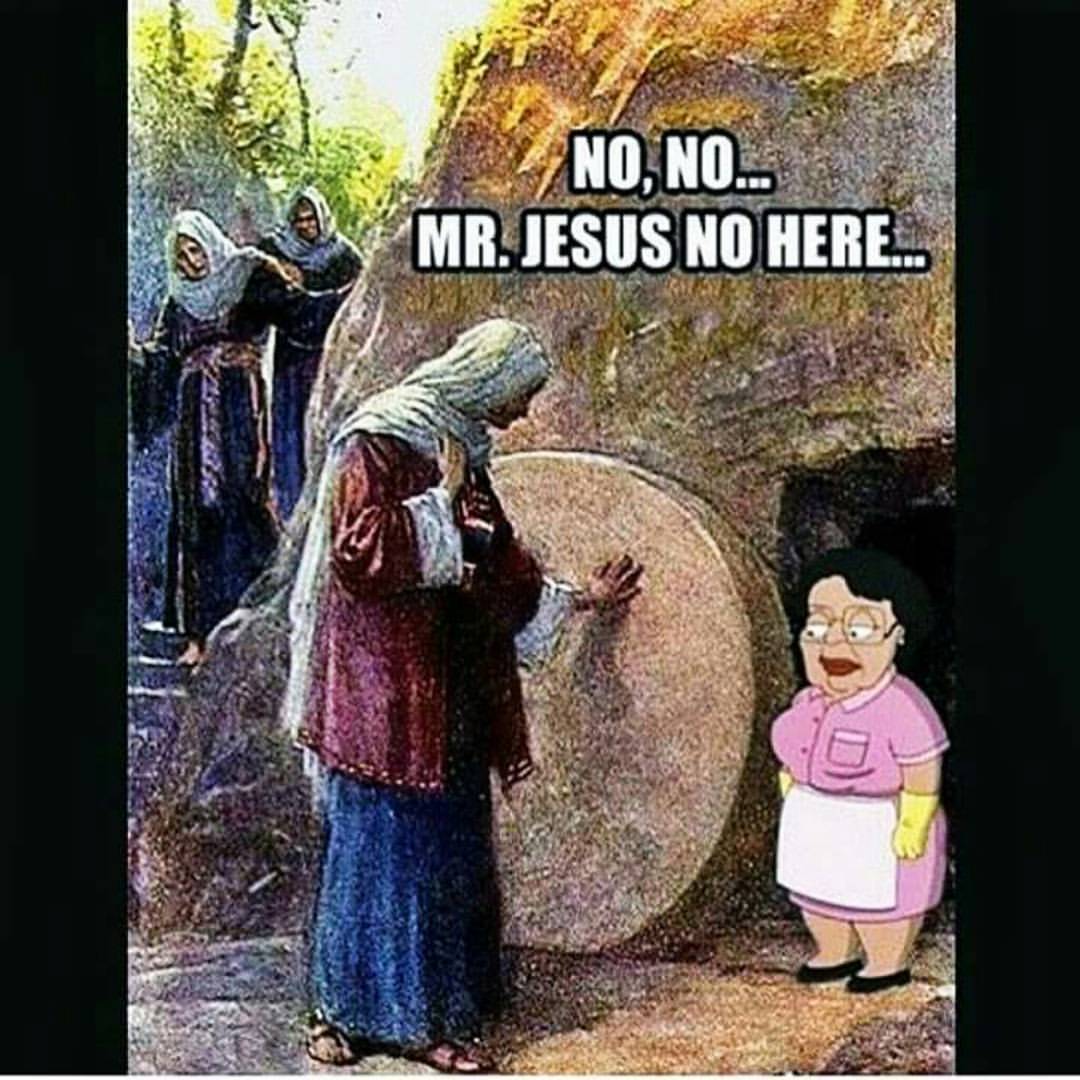 😆🐇