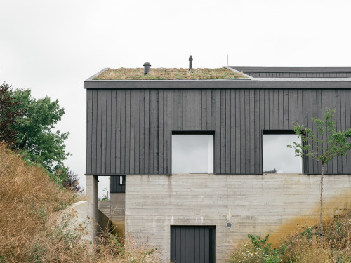 Havana &amp; Aagje Bruch - Detached house, Dilbeek 2017. Photos &copy; the architects. 