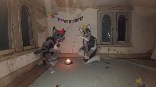 The Signs As Cursed Images