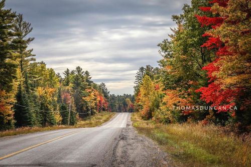 Northern Ontario autumn. #thomasduncanphotography (at Killarney, Ontario) https://www.instagram.com/
