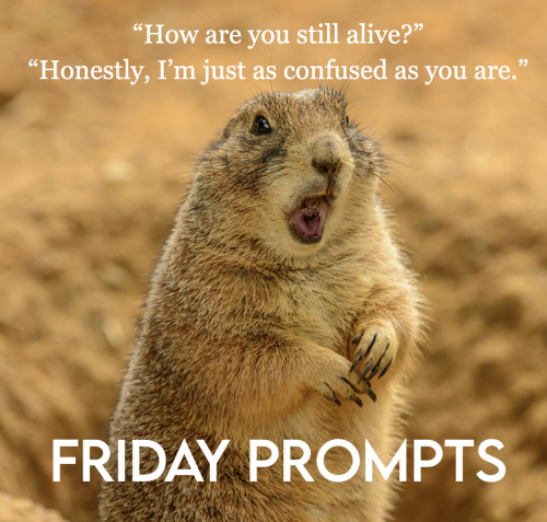 friday-prompts:Friday Prompt for May 20: “How are you still alive?”“Honestly, I’m just as confused a