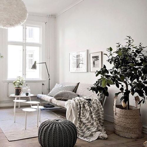 Via***  interiormil***  