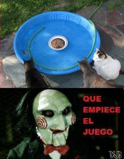 Que vida mas triste...