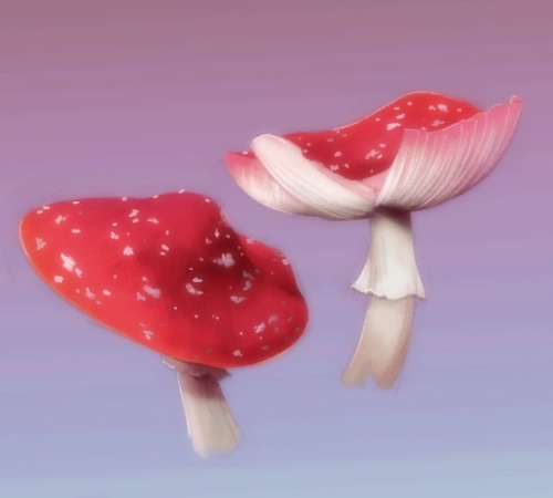 I Wanna Eat Amanita [cursed Teeth Emoji] 