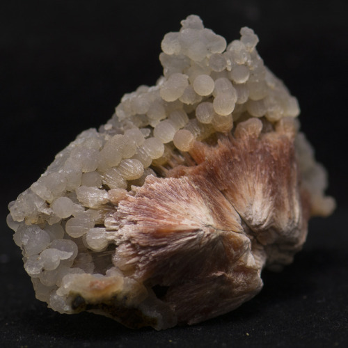 vugnasmineralblog:Scolecite With ChalcedonySangamner, Ahmednagar, Maharashtra, India