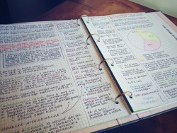 blackmessydesk:My morning study session notes. I’m so proud of them I can’t even… 