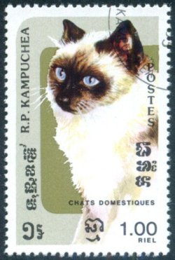 stamp-it-to-me:two 1985 Cambodian stamps from a series on domestic cats
