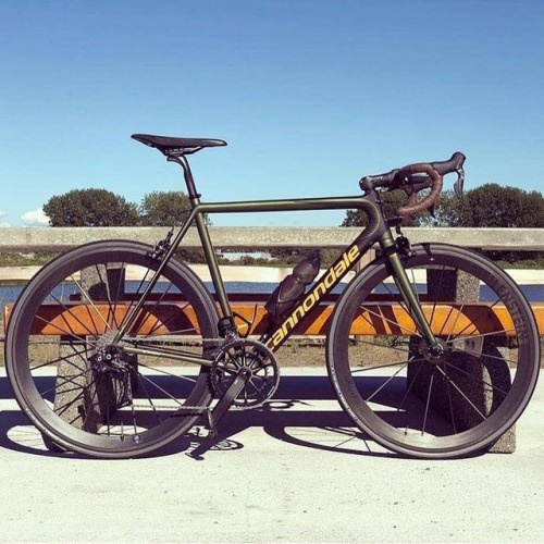 cannondaleclub:Road Machine