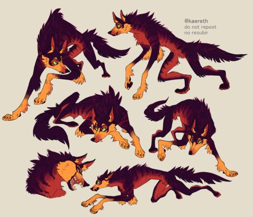 kaereth:  More of my wolf-ish OC Ember! I love drawing her but girl is SO hard to color u-u