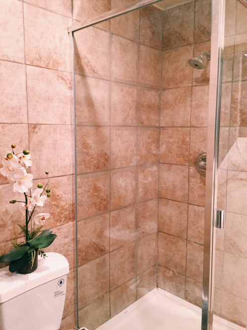 tiramasu:in love with my bathroom.