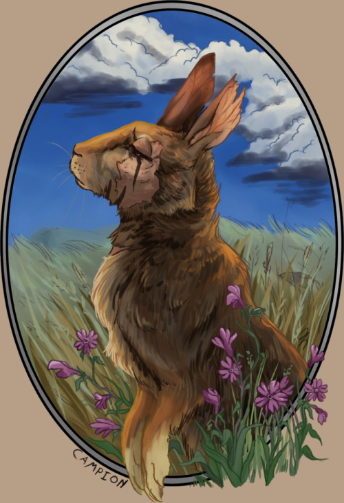  After rereading ‘Watership Down’ I was compelled to give the old animated series a watc