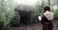 klnjones-blog:  Everyone thinks of [fairy tales] in terms of poisoned apples and glass coffins, and forgets that they represent girls who walked into dark forests and remade them into their own reflections. 