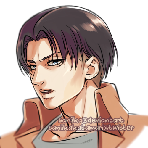  Commission: LeviGrumpy Levi is best Levi. For commission info click here: bit.ly/saniichart 