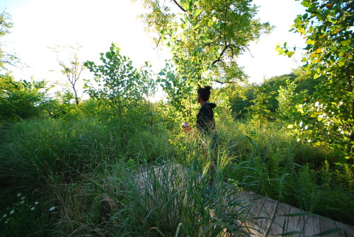 Are You The Adventurous Type? #FollowYourSoul #ChaseYourDreams-Frick Park, Pittsburgh-