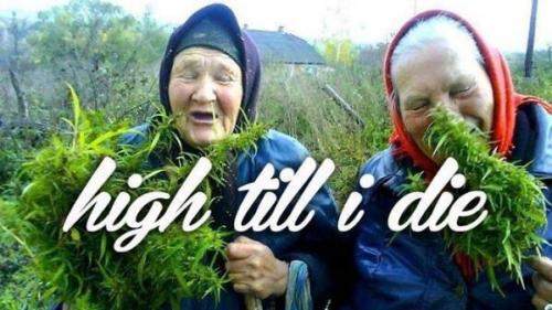 http://blowmelikekushhh.tumblr.com/post/118715671779