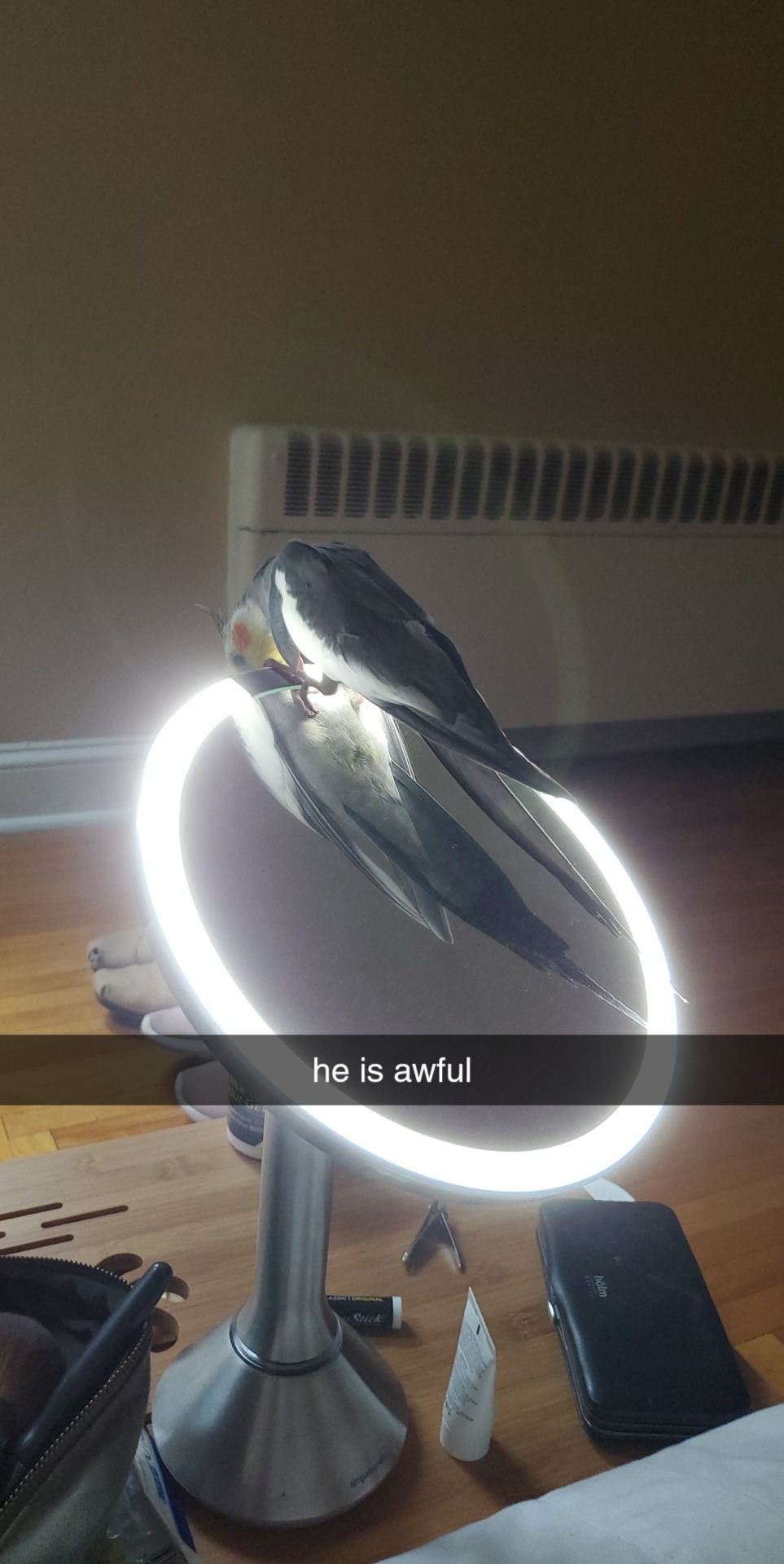 Tumblr media