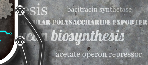&lsquo;The inner workings of a bacterial pathogen&rsquo; project by Travis Wiles via Behance