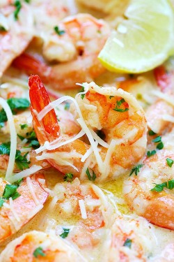 fashion-clue:  fattributes:  Creamy Garlic Parmesan Shrimp  www.fashionclue.net | Fashion Tumblr, Street Wear, Travel &amp; Food