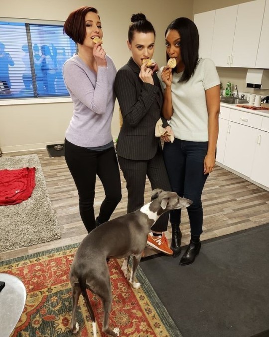 Tumblr media
