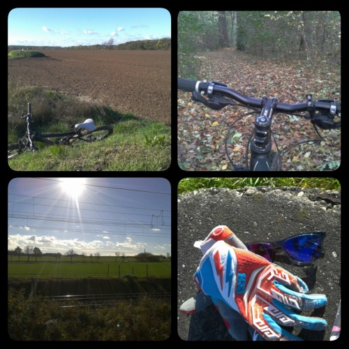 two-wheels-one-love:  Autumn Bike Ride!