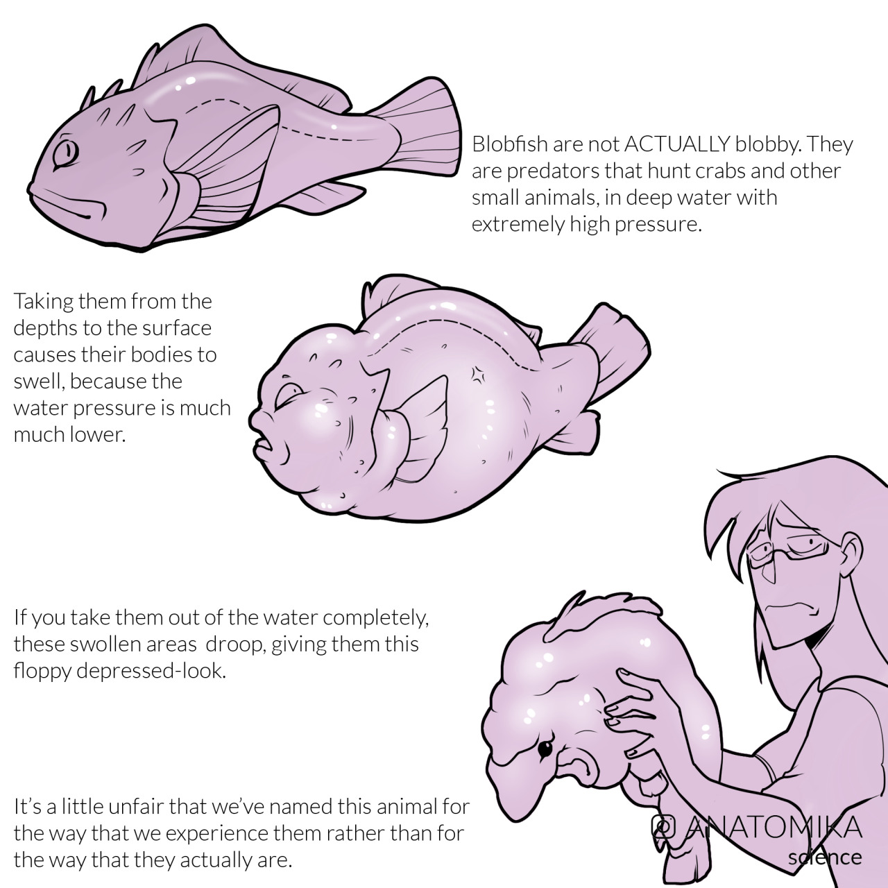 Blobfish with and without water pressure - 9GAG