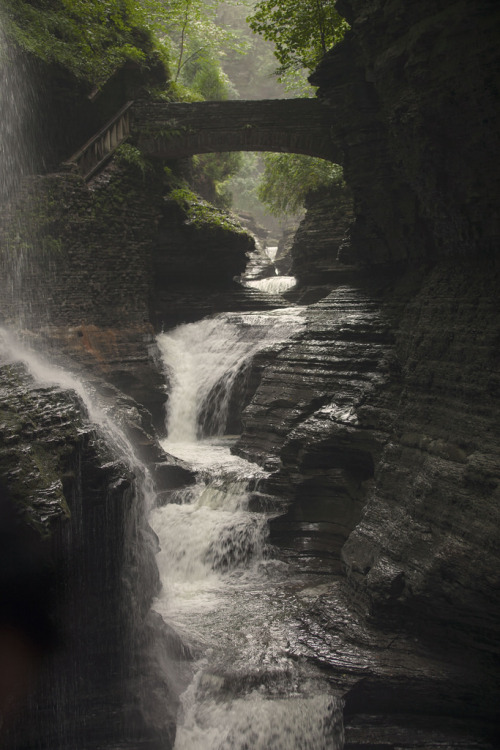 jacindaelena: Watkins Glen State Park by Moey Hoque