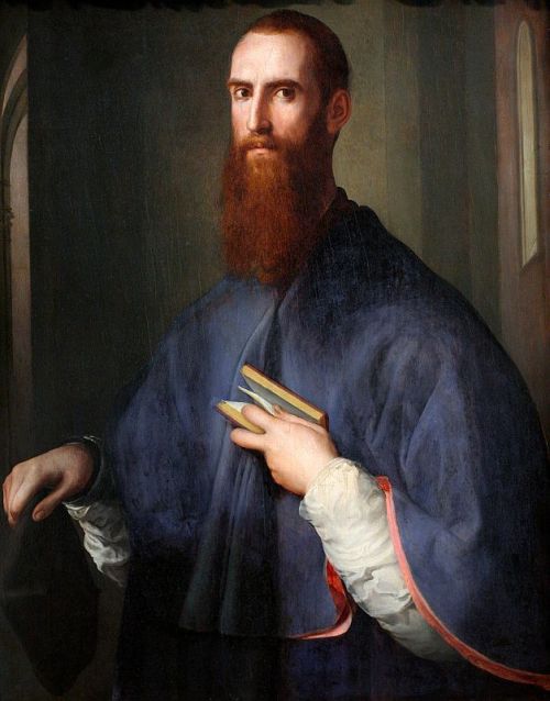 Portrait of Niccolò Ardinghelli, 1542, Jacopo PontormoMedium: oil,wood