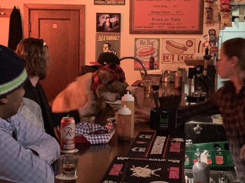 Hes Had A Ruff Day.