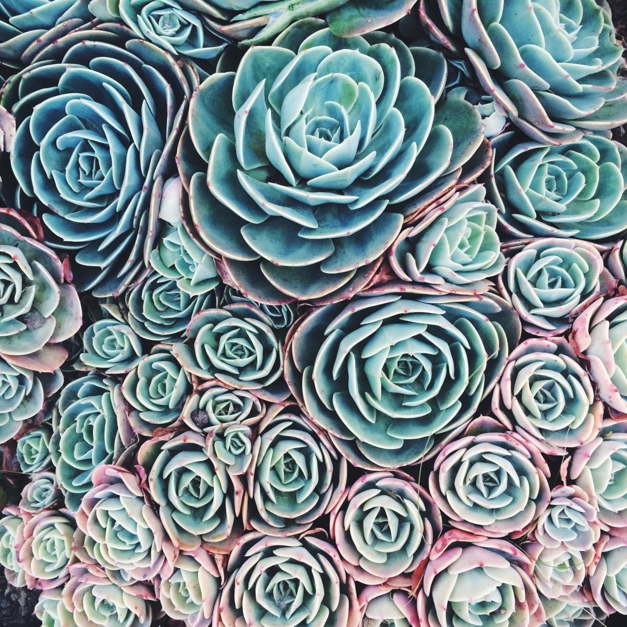 Forms in space.