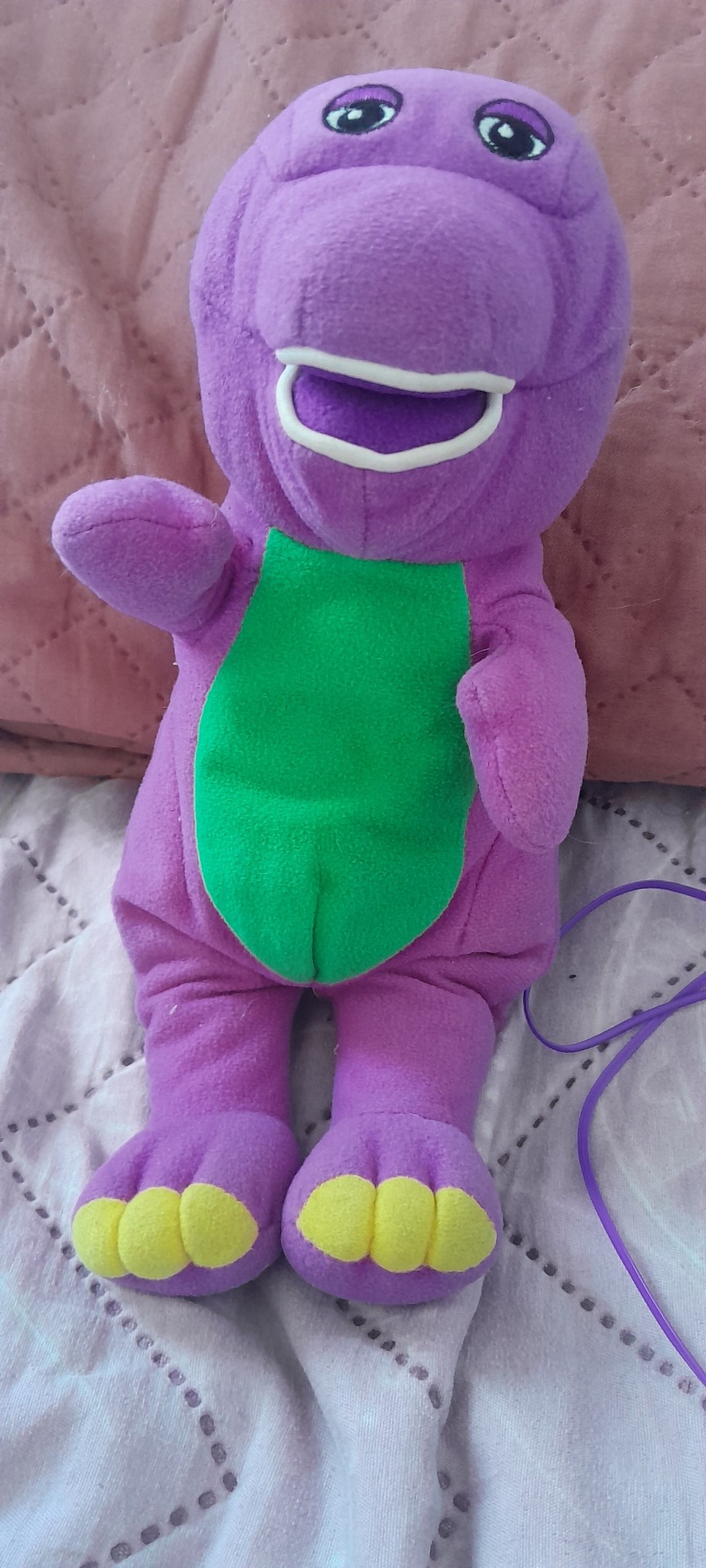 I Have A Barney Plush Since I Was 2 (19 Now). He's Been With Me For Soooo Long! Probably Knows More About