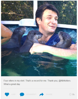 thewightknight:  Nathan Fillion cuddling with otters.  Internet is won.  We can all go home now.(x)