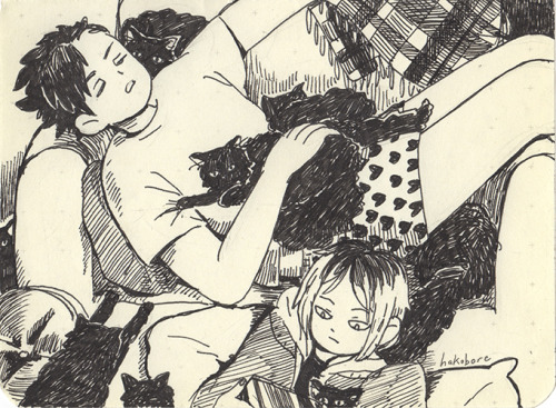 hakobore:  snnnnzzzz