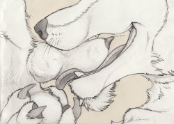 yaoifurriesandscalies:  Big knots as requested.Source: e621 and more