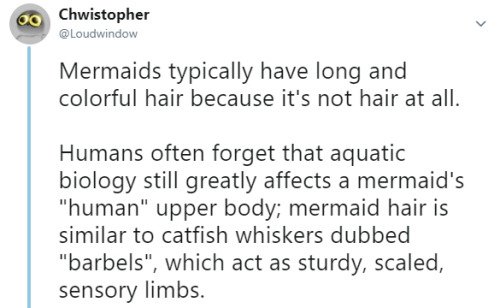 water-of-the-bong:  ninjanaomi:  otherwindow:  otherwindow:  Iconic seafarer beards became a trend to scare away pesky mermaids. Mermaid, seeing a bald pirate: Zero threat…!Mermaid, seeing a hairy, bearded pirate: If I get too close their face tentacles