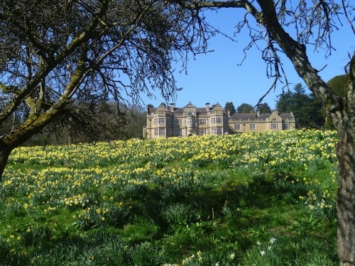 Stokesay Court