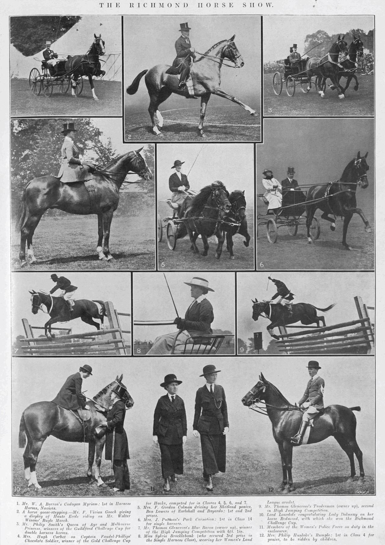 THE RICHMOND HORSE SHOW. Mr. W. A. Barron’s Cadogan Myriam: 1st in Harness Horses, Novices. A horse goose-stepping. - Mr. F. Vivian Gooch giving a display of Haute École riding on Mr. Walter Winans’ Bugle March.Mr. Philip Smith’s Queen of Ayr and Melbourne Princess, winners of the Guildford Challenge Cup for double harness horses. Mrs. Hugh Corbet on Captain Faudel-Phillips’ Chocolate Soldier, winner of the Gold Challenge Cup for Hacks, competed for in Classes 4, 5, 6, and 7. Mrs. F. Gordon Colman driving her Shetland ponies, Ben Lawers of Earlshall and Bayardo: 1st and 2nd prizes. Mrs. J. Putman’s Park Connection, 1st in Class 14 for single harness. Mr. Thomas Glencross’s Blue Baron (owner up), winner of the High Jumping Competition with 6ft 1in. Miss Sylvia Brocklebank (who secured 3rd prize in the Single Harness Class), wearing her Women’s Land League armband. Mr. Thomas Glencross’s Tradesman (owner up), second in High Jumping Competition. Lord Lonsdale congratulating Lady Dalmeny on her horse Redmond, with which she won the Richmond Challenge Cup. Members of the Women’s Police Force on duty in the enclosures. Mrs. Philip Hunlocke’s Rumple: 1st in Class 4 for ponies, to be ridden by children. The Illustrated Sporting and Dramatic News, 24 June 1916 #Richmond Horse Show #Cadogan Myriam#harness horse#Bugle March#dressage#haute école #F. Vivian Gooch  #Queen of Ayr #Melbourne Princess#Chocolate Soldier #Mrs. Hugh Corbet  #Ben Lawers of Earlshall #Bayardo#Shetland pony #Mrs. F. Gordon Colman #Park Connection#Blue Baron#Tradesman#jumping#high jump#Thomas Glencross#Sylvia Brocklebank#Lord Lonsdale#Lady Dalmeny#Redmond#Rumple #Illustrated Sporting & Dramatic News #1916