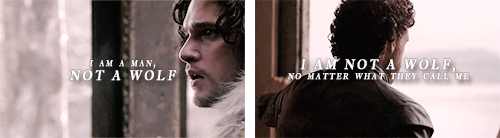 asbraveasrobb:Jon & Ghost  //  Robb & Grey Wind(for @queen–of–thorns)