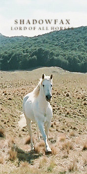 XXX halcyon-noir: horses of Middle Earth photo