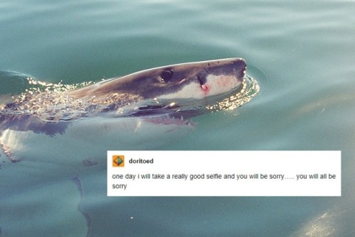 originaljediinjeans - Text posts + Sharks