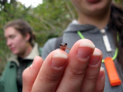 scienceyoucanlove:Hey Btw, scientists are having a ‘cute off’- their names and phot