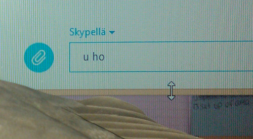 machikono:  BIRD JUMPED ON THE KEYBOARD  AN d  WHERE AR ETHE MANNERS                                          