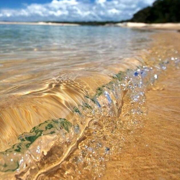 Tropical