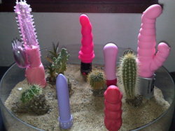 virtuallydaddy: babygirls-sweetsurrender:  Dildo garden. :-D  Succulent 