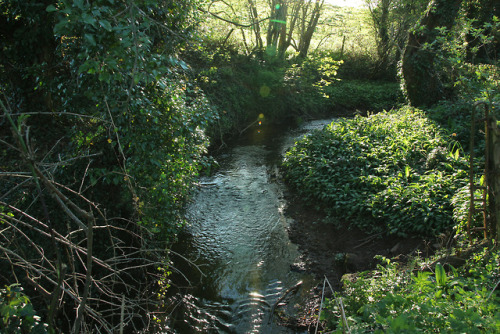 Sunlit ripples by Julian